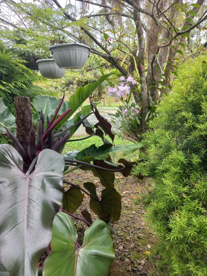 Chácara, 3 quartos, 1600 m² - Foto 6