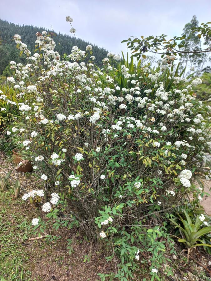 Chácara, 3 quartos, 1600 m² - Foto 8