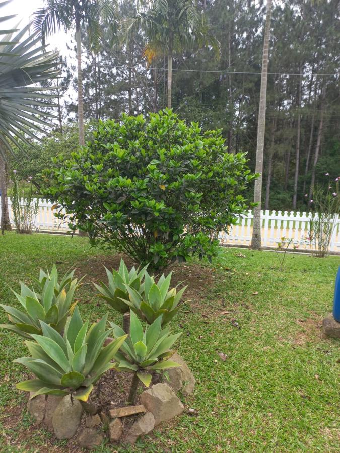 Chácara, 3 quartos, 1600 m² - Foto 7