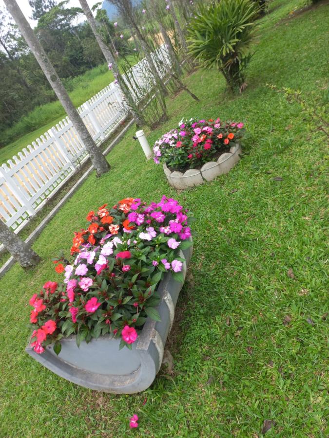 Chácara, 3 quartos, 1600 m² - Foto 10