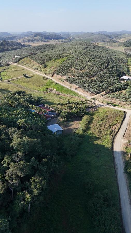 Chácara, 3 quartos, 5 hectares - Foto 11