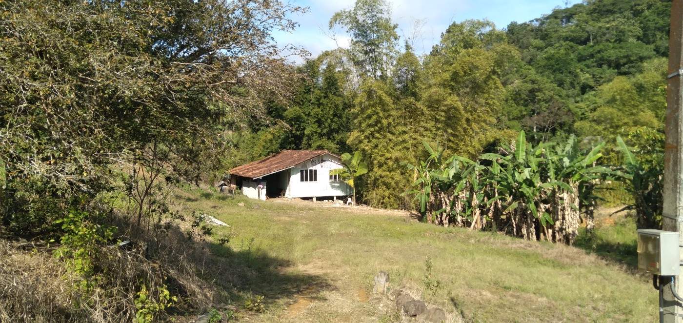 Chácara, 6 hectares - Foto 4