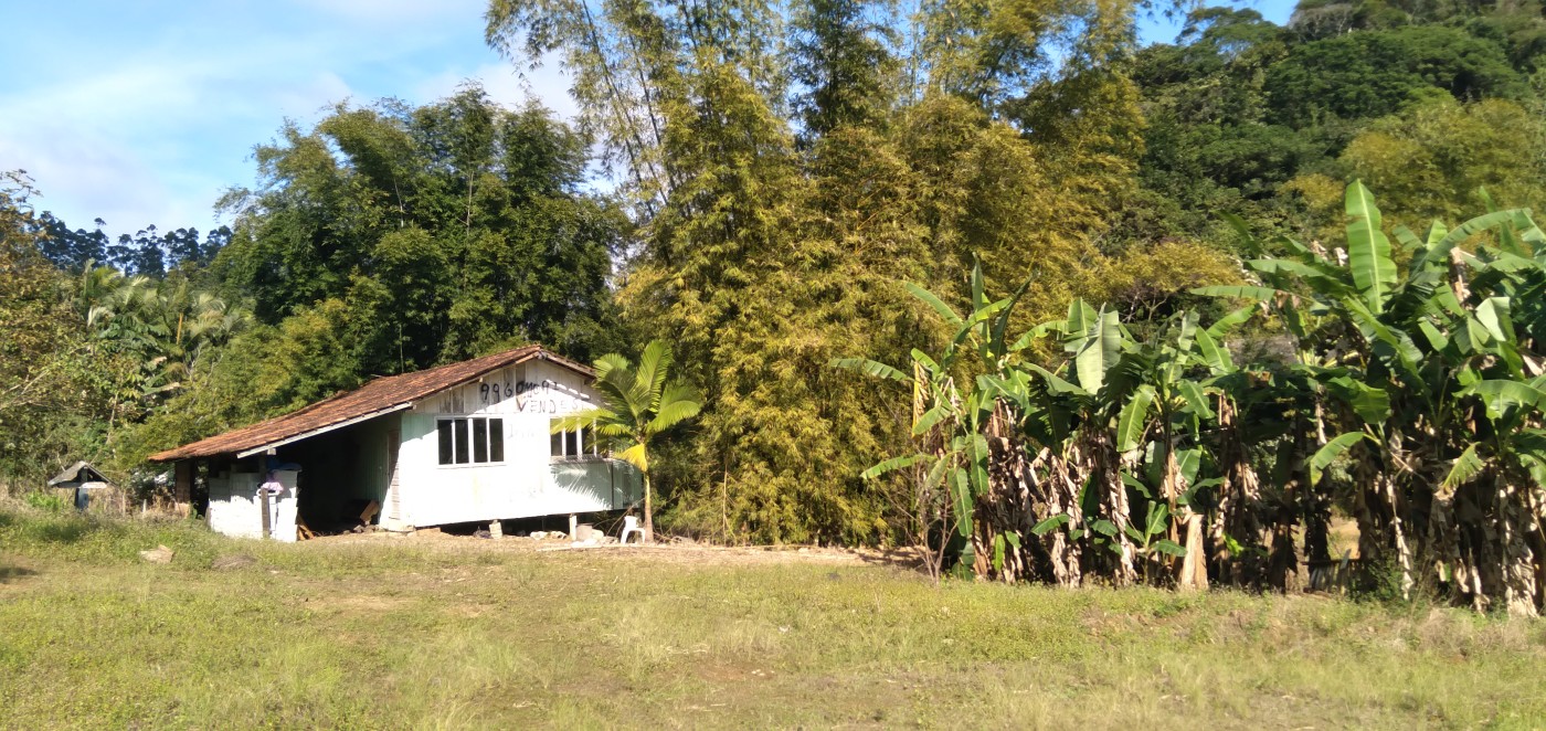 Chácara, 6 hectares - Foto 1