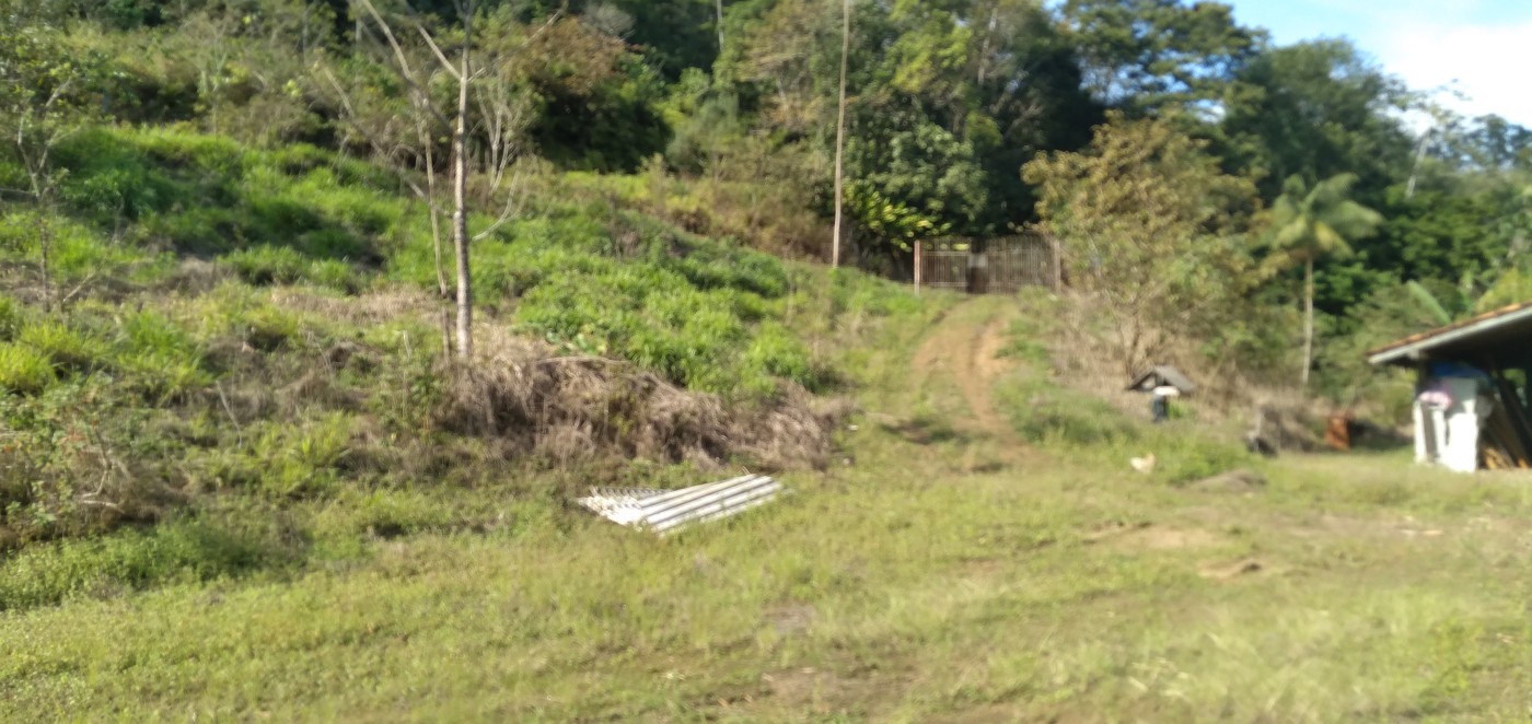 Chácara, 6 hectares - Foto 11