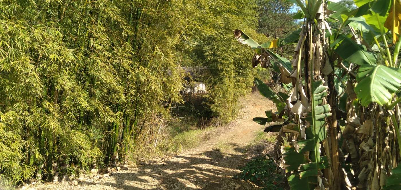 Chácara, 6 hectares - Foto 12