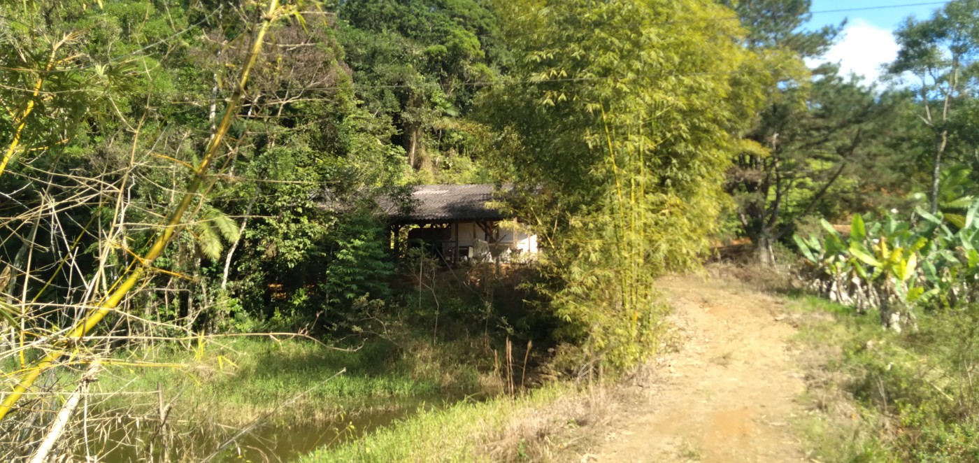 Chácara, 6 hectares - Foto 13