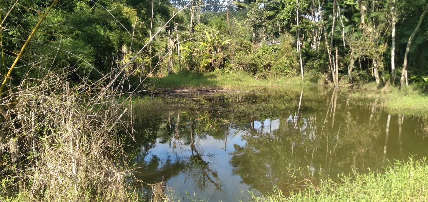 Chácara, 6 hectares - Foto 14