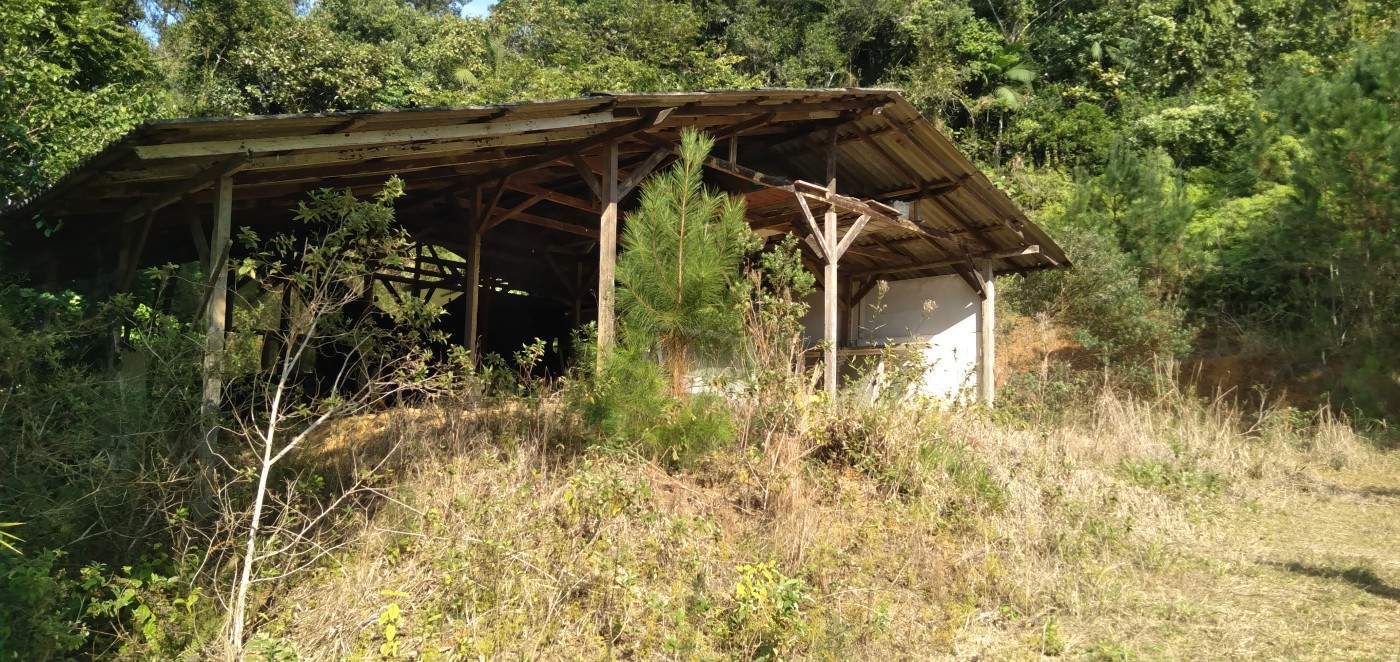 Chácara, 6 hectares - Foto 8