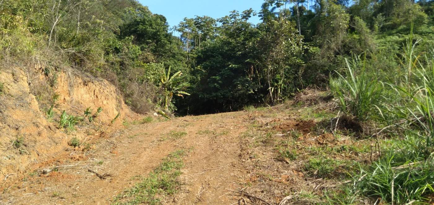 Chácara, 6 hectares - Foto 19