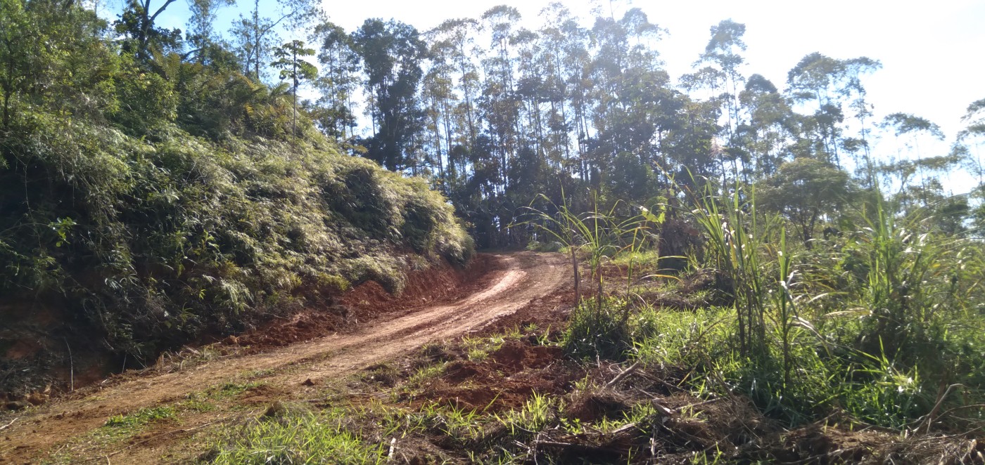 Chácara, 6 hectares - Foto 20