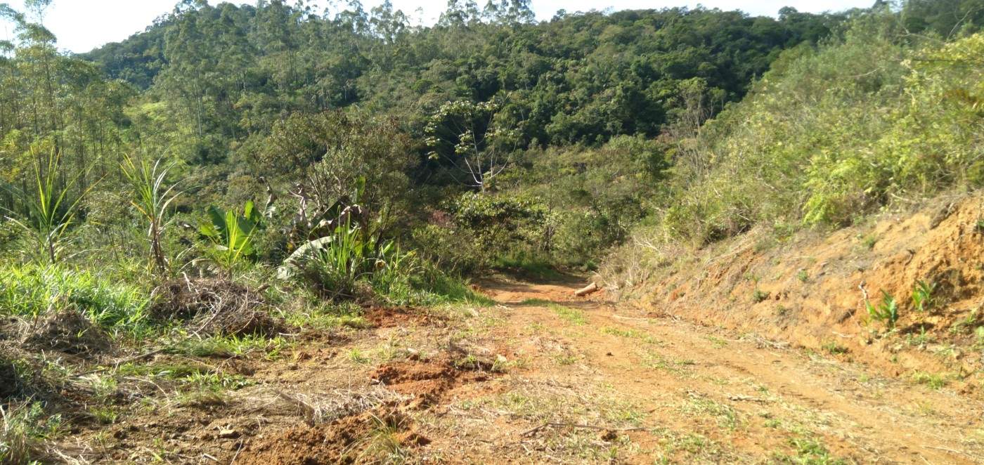 Chácara, 6 hectares - Foto 21