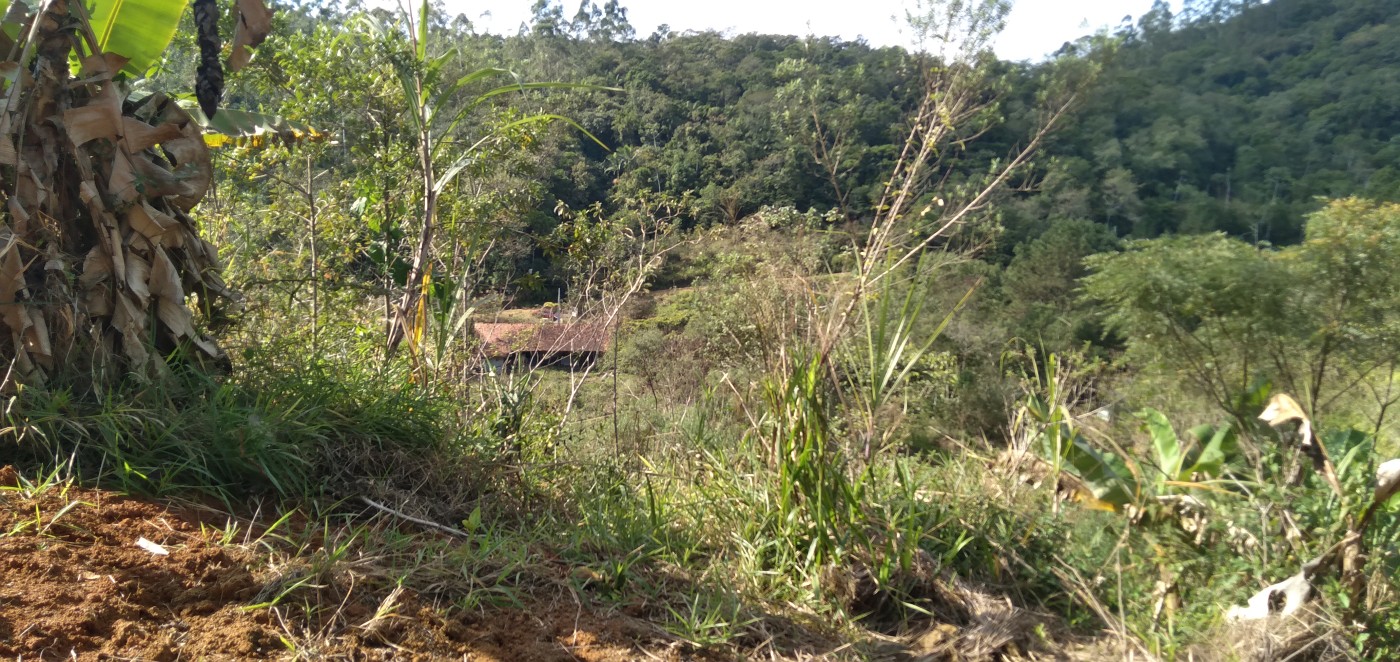 Chácara, 6 hectares - Foto 22