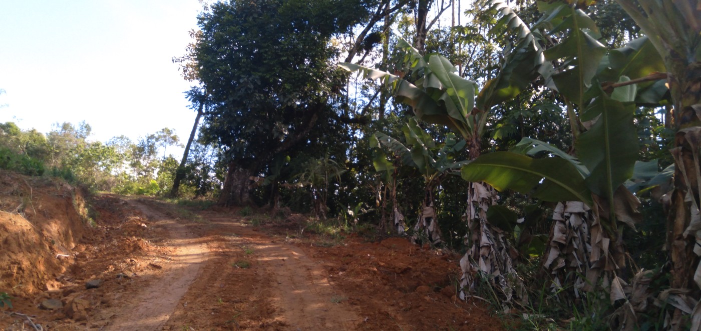 Chácara, 6 hectares - Foto 23