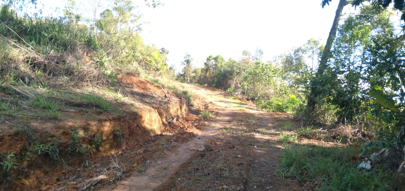 Chácara, 6 hectares - Foto 24