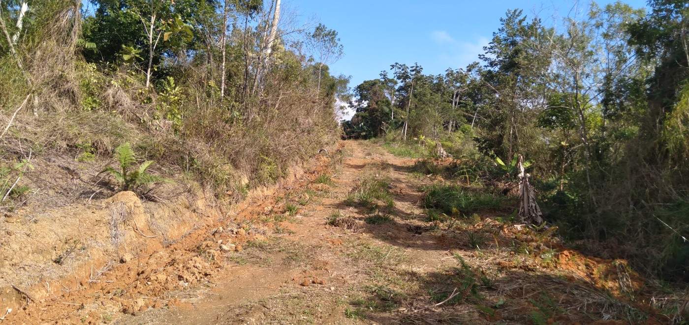 Chácara, 6 hectares - Foto 25