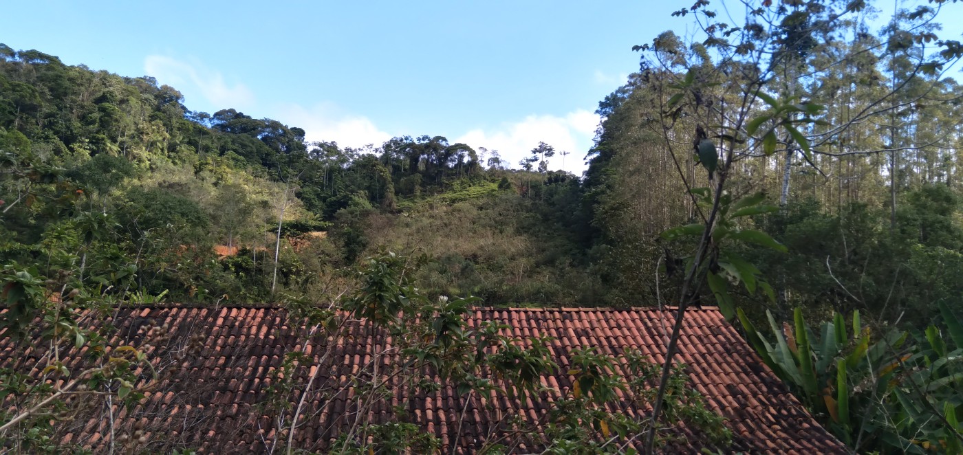 Chácara, 6 hectares - Foto 26