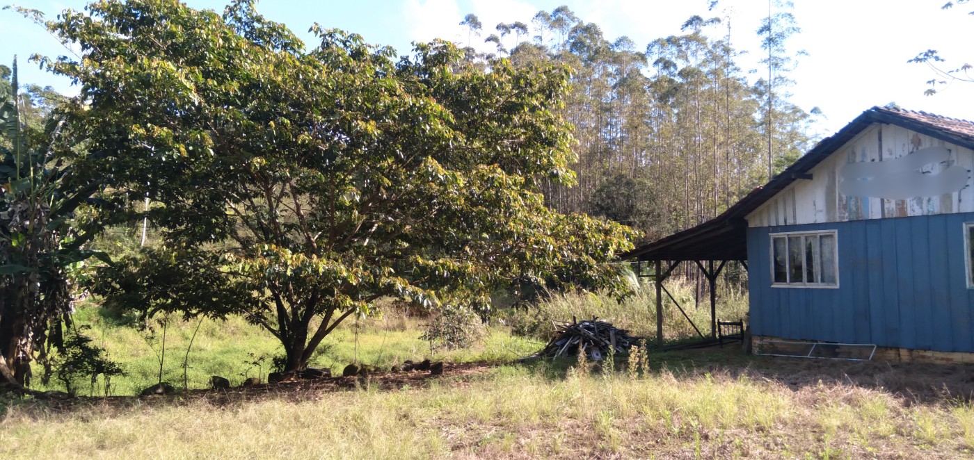 Chácara, 6 hectares - Foto 7