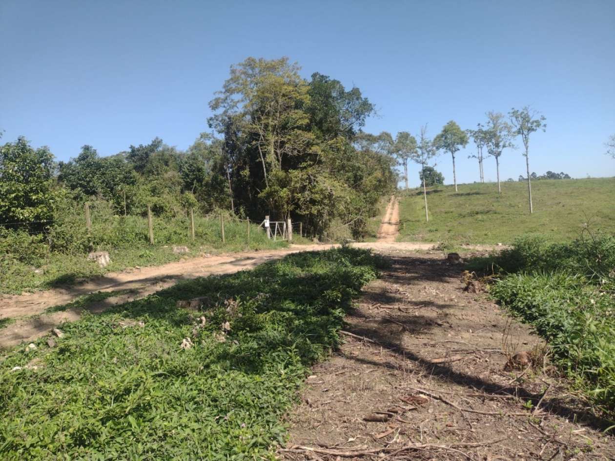 Chácara, 14 hectares - Foto 2