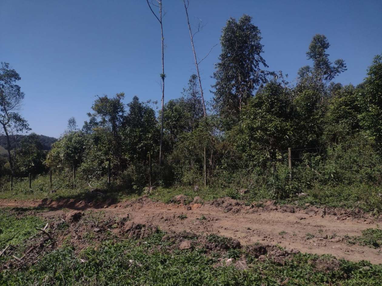 Chácara, 14 hectares - Foto 1