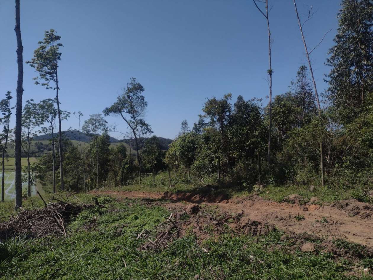 Chácara, 14 hectares - Foto 8