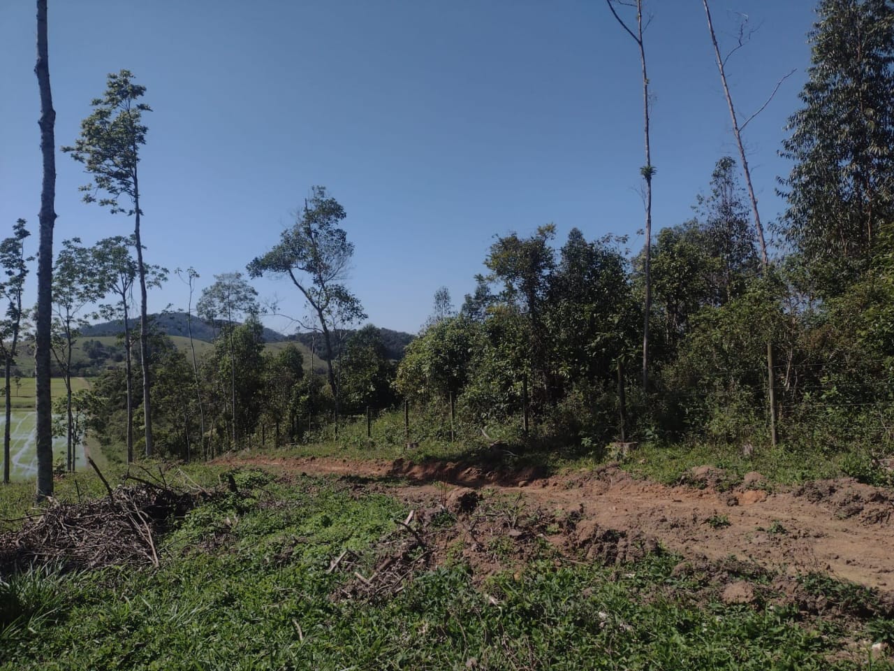 Chácara, 14 hectares - Foto 10