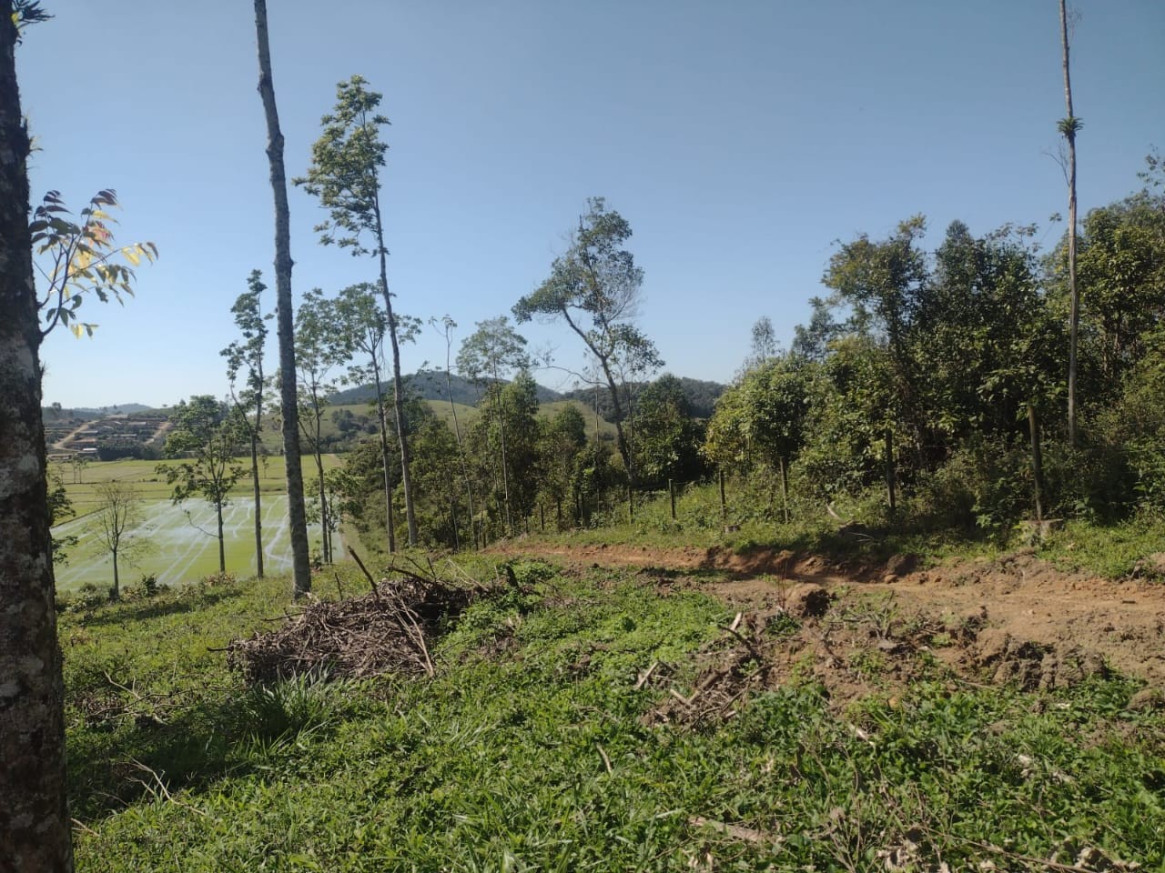 Chácara, 14 hectares - Foto 12