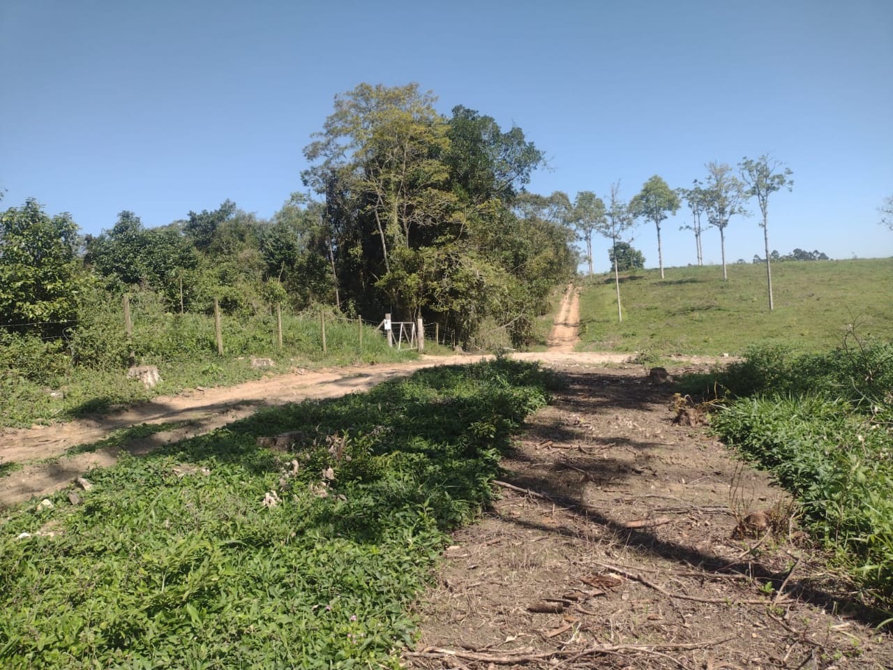 Chácara, 14 hectares - Foto 14