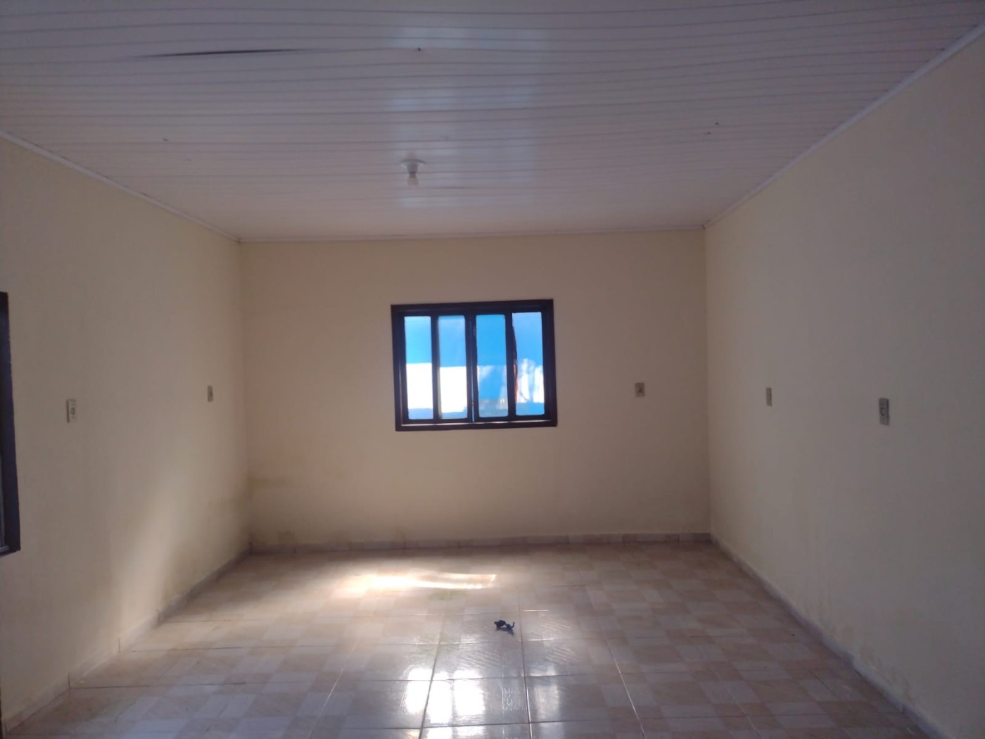 Casa, 5 quartos, 300 m² - Foto 14