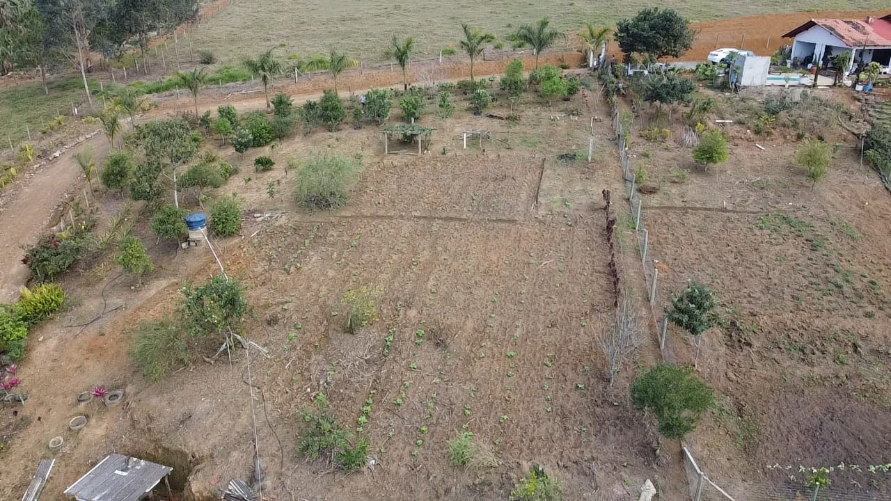 Chácara, 2 quartos, 2 hectares - Foto 21