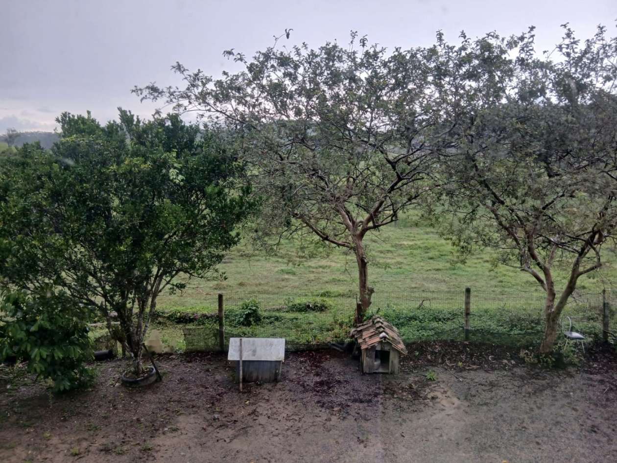 Chácara, 4 quartos, 4960 m² - Foto 21