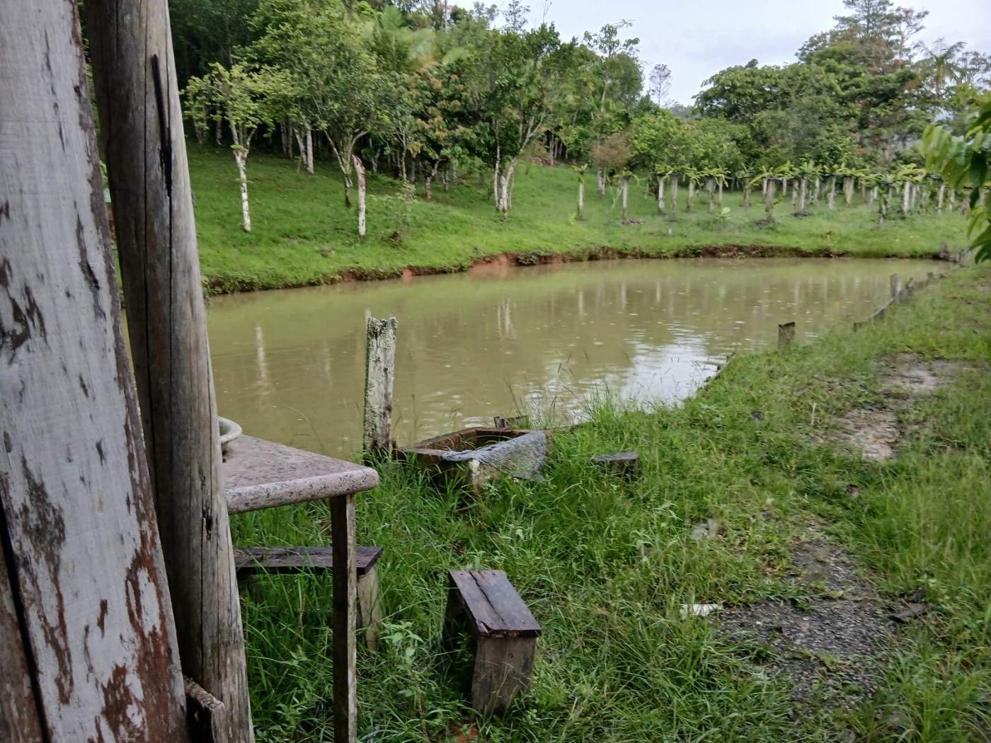 Chácara, 4 quartos, 4960 m² - Foto 32