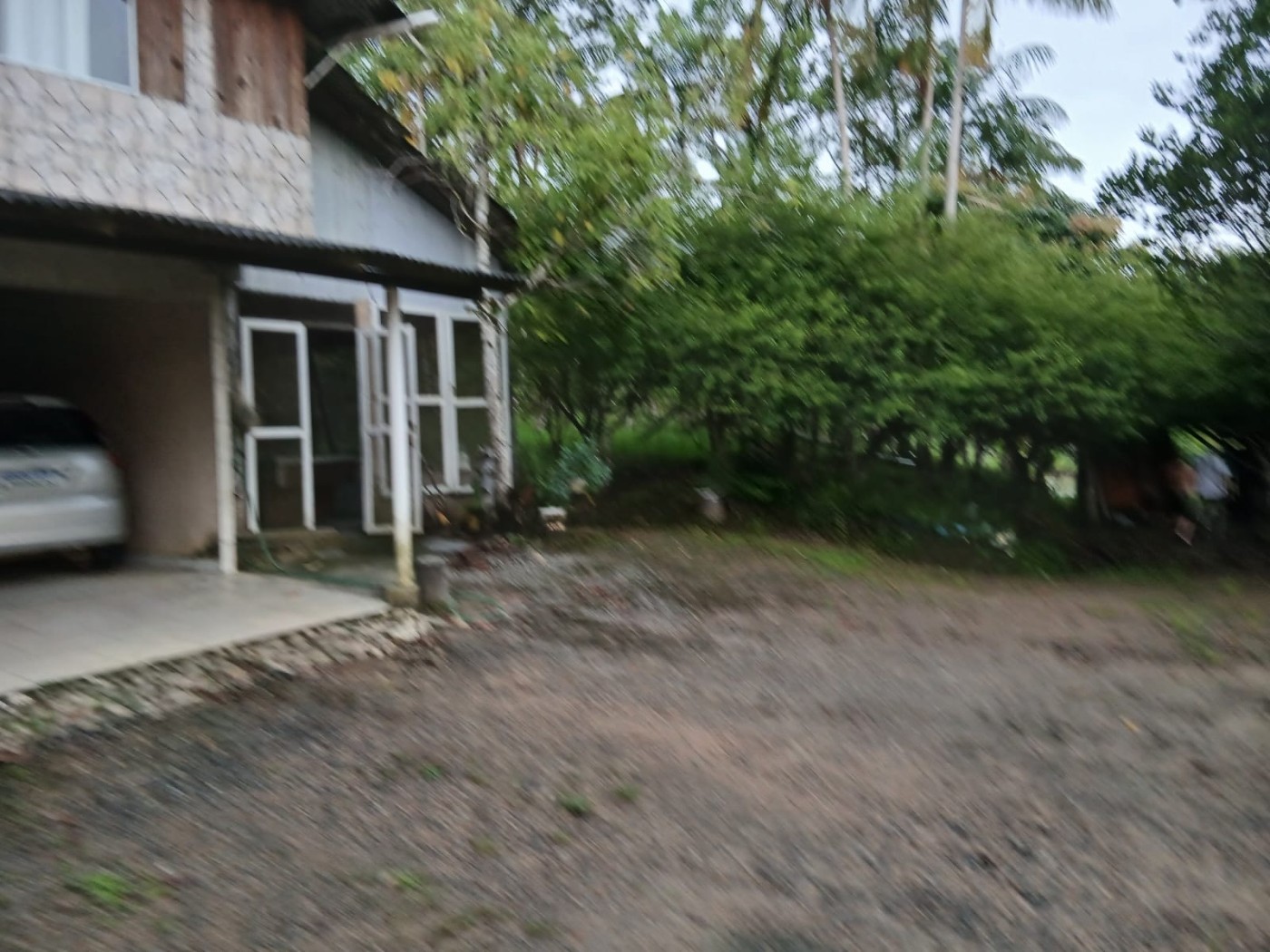 Chácara, 4 quartos, 4960 m² - Foto 6