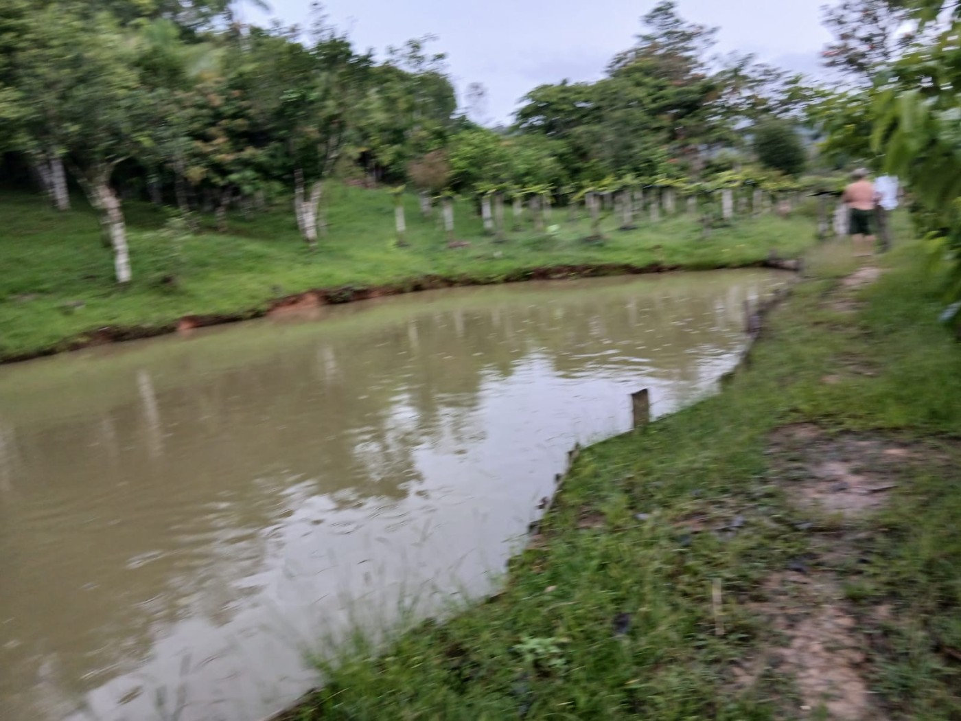 Chácara, 4 quartos, 4960 m² - Foto 35