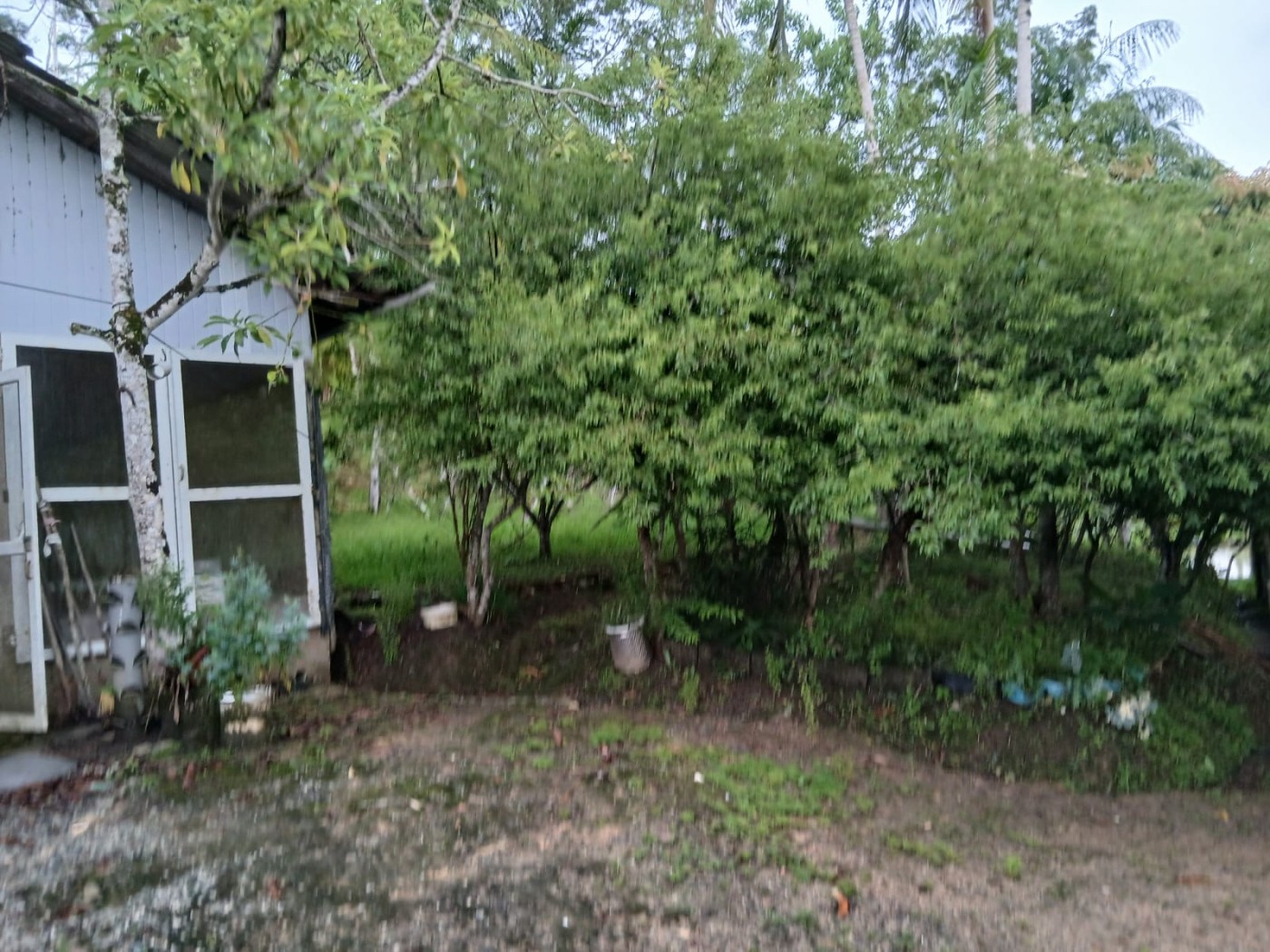 Chácara, 4 quartos, 4960 m² - Foto 20