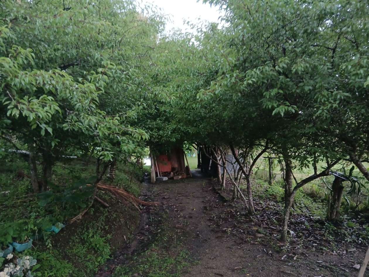 Chácara, 4 quartos, 4960 m² - Foto 36