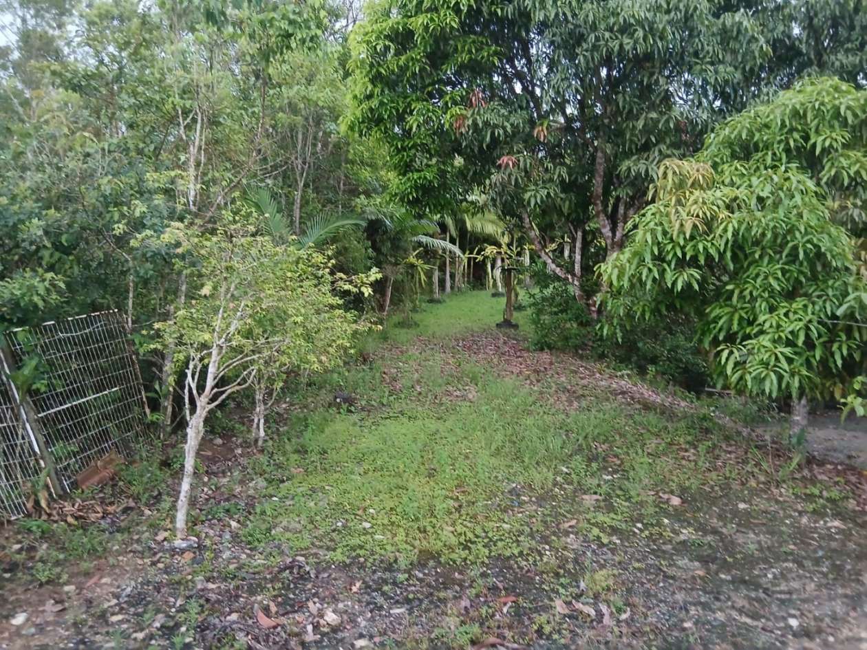 Chácara, 4 quartos, 4960 m² - Foto 37