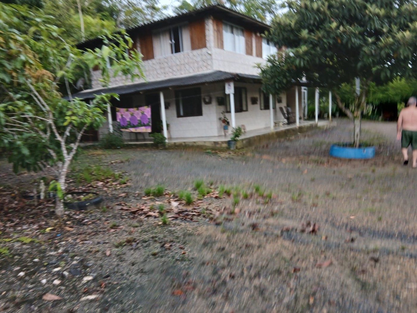 Chácara, 4 quartos, 4960 m² - Foto 5