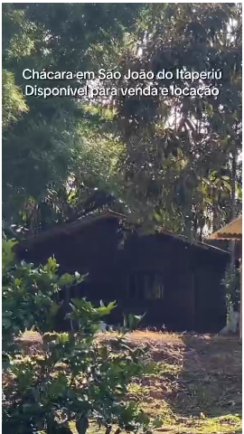 Chácara, 10 quartos, 10000 m² - Foto 6