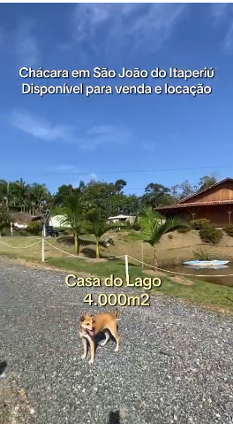 Chácara, 10 quartos, 10000 m² - Foto 12