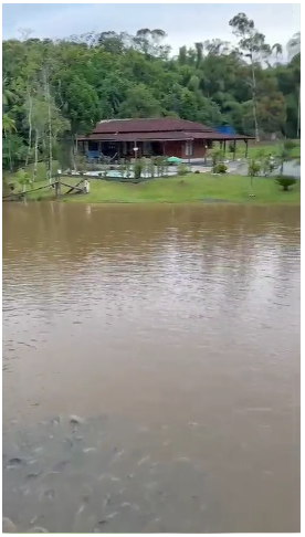 Chácara, 10 quartos, 10000 m² - Foto 14