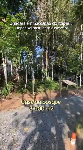 Chácara, 10 quartos, 10000 m² - Foto 17