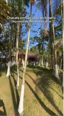 Chácara, 10 quartos, 10000 m² - Foto 23