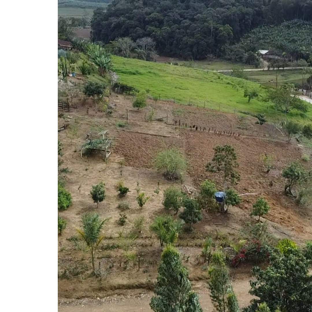 Fazenda, 4455 m² - Foto 1