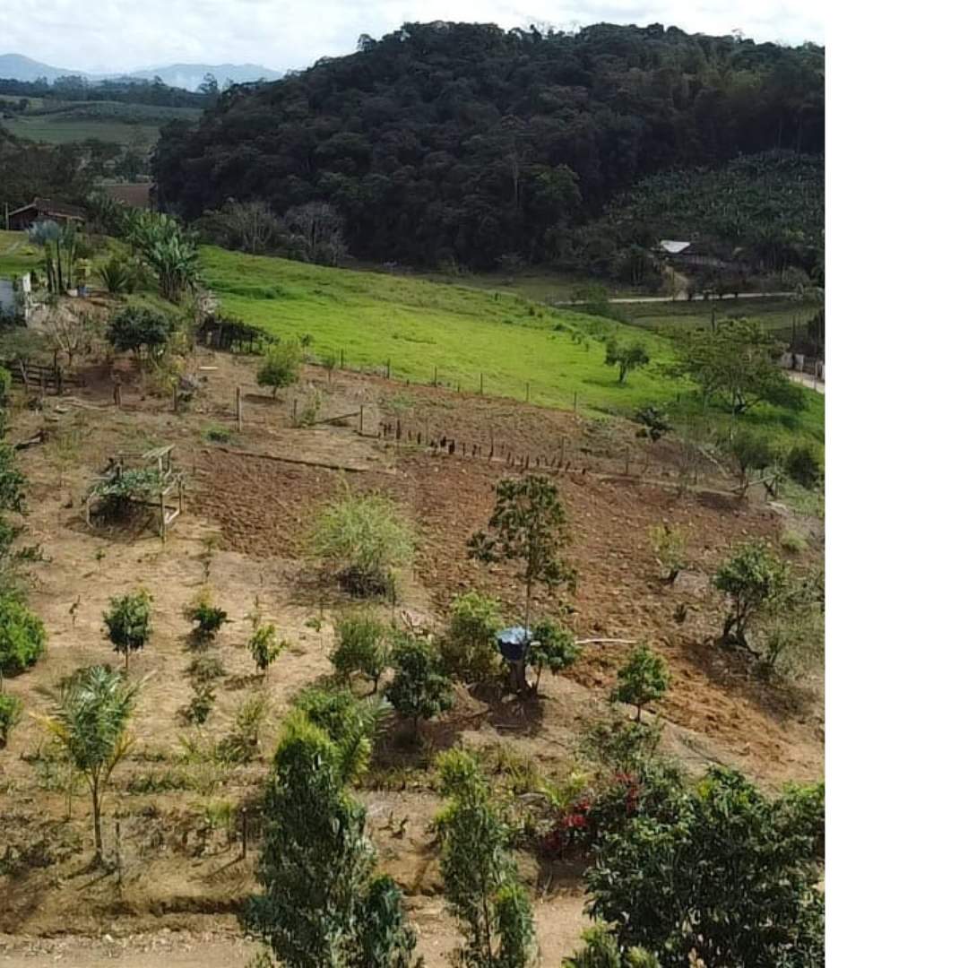 Fazenda, 4455 m² - Foto 3
