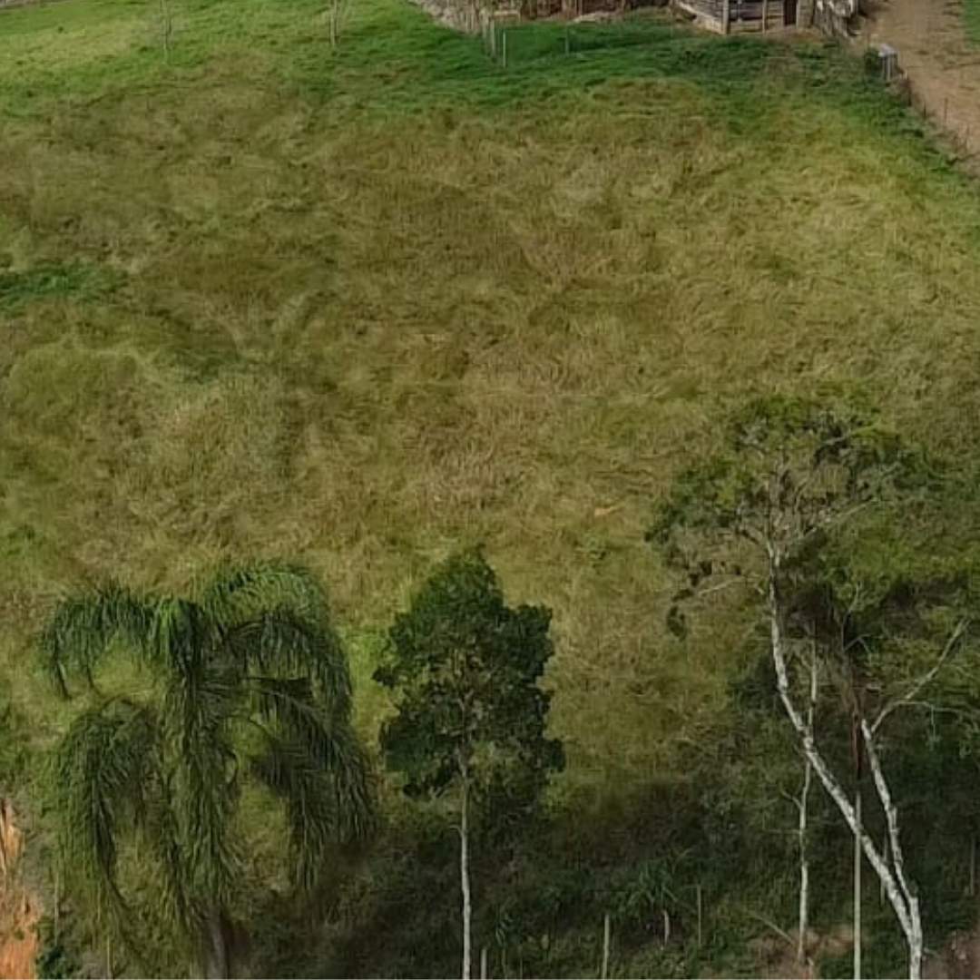 Fazenda, 4455 m² - Foto 5