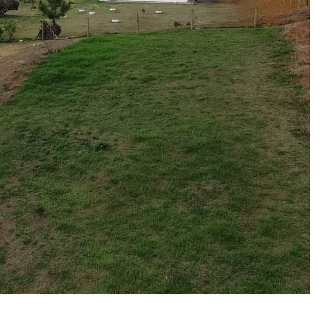 Fazenda, 4455 m² - Foto 6