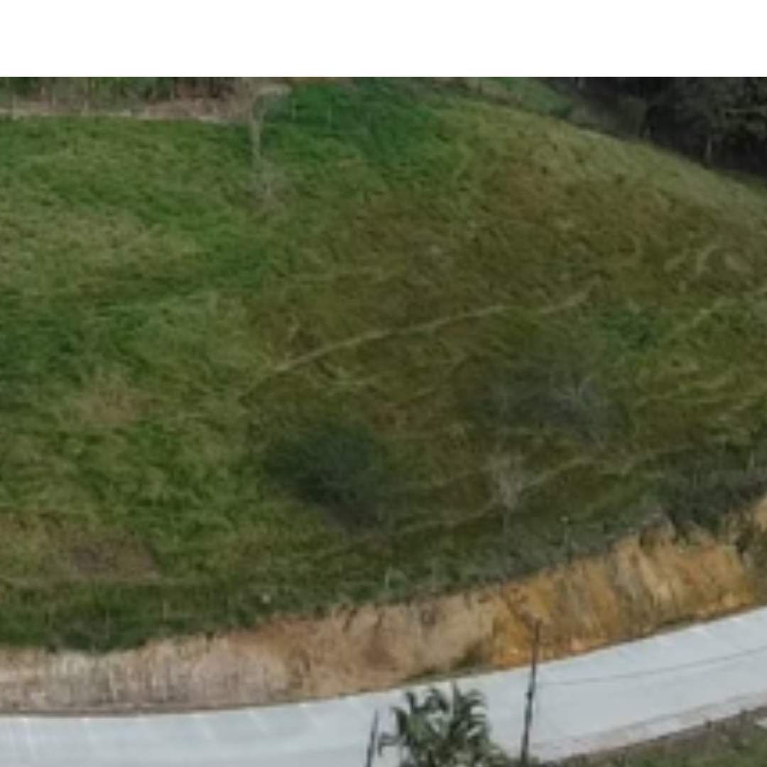 Fazenda, 4455 m² - Foto 7