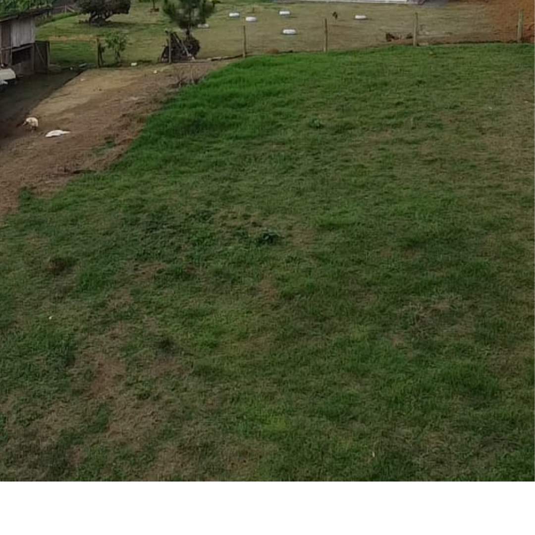 Fazenda, 4455 m² - Foto 8