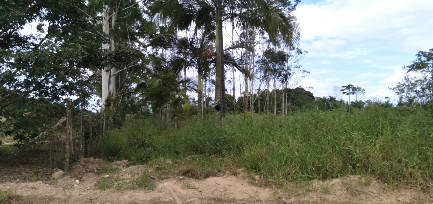 Fazenda, 2 hectares - Foto 8