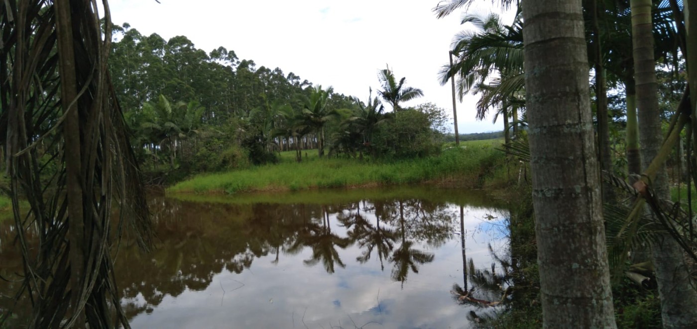 Fazenda, 2 hectares - Foto 10